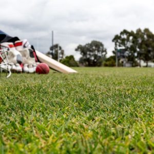 Artificial Grass For Cricket Pitch
