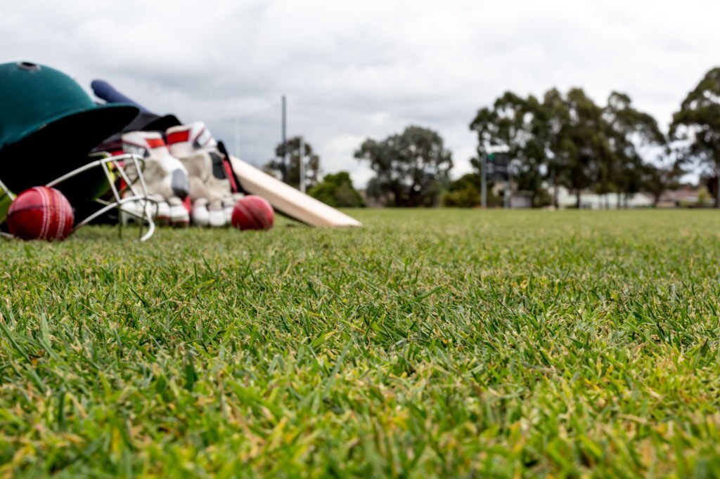 Artificial Grass For Cricket Pitch
