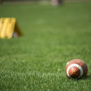 Artificial Grass For Football Field