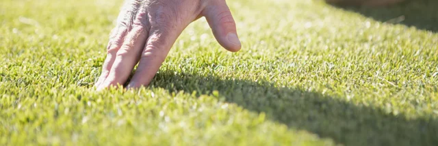 How to keep artificial grass cooler