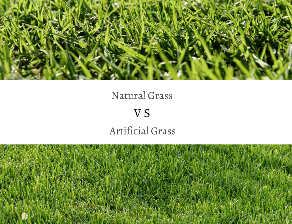 The Hidden Costs of Natural Grass Lawns in Perth’s Climate