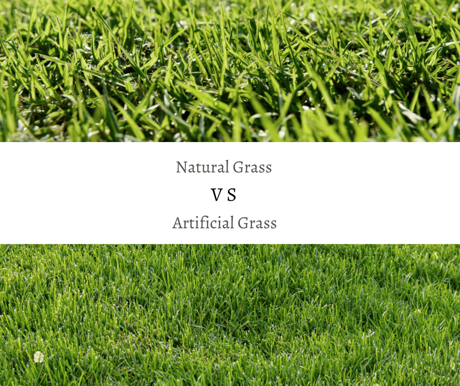 The Hidden Costs of Natural Grass Lawns in Perth’s Climate