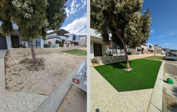 Dead Lawn to Dream Backyard