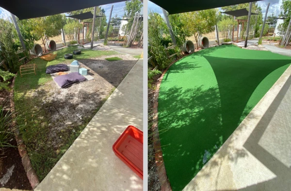 Dead Lawn to Dream Backyard