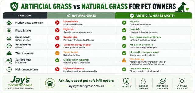 Benefits of Artificial Grass for Perth Pet Owners