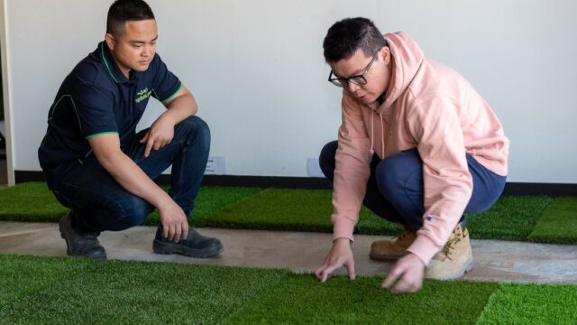 Comparing artificial grass samples with a customer