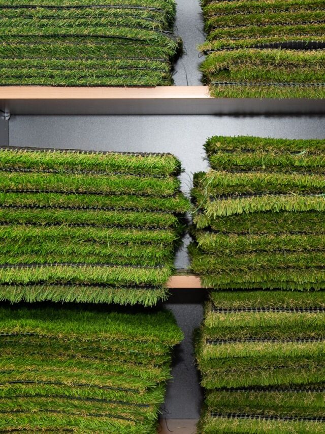 Artificial grass pile height compared side by side
