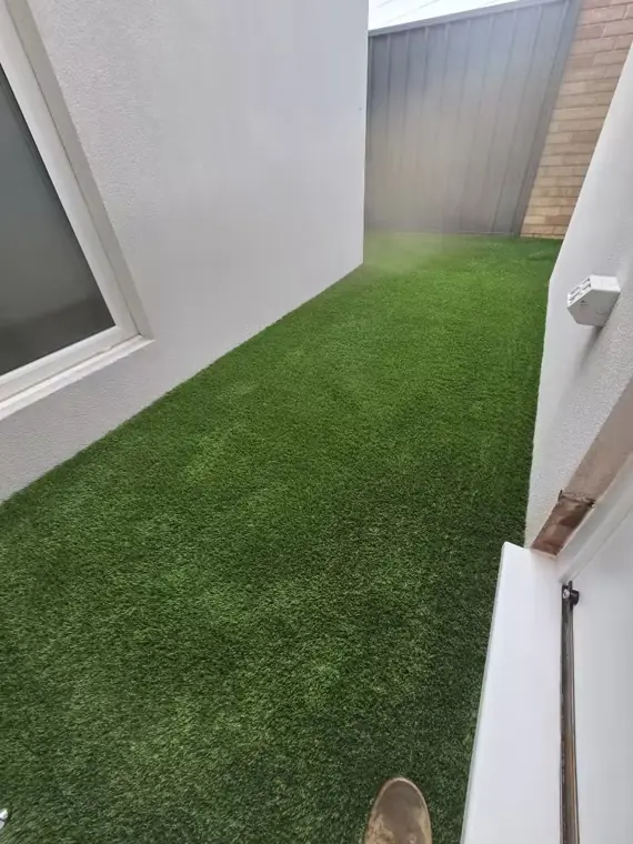Fremantle Fremantle after artificial grass installation in Deluxe 35