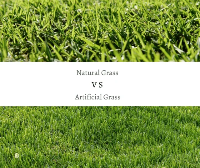 The Hidden Costs of Natural Grass Lawns in Perth’s Climate (and How Artificial Turf Solves Them)