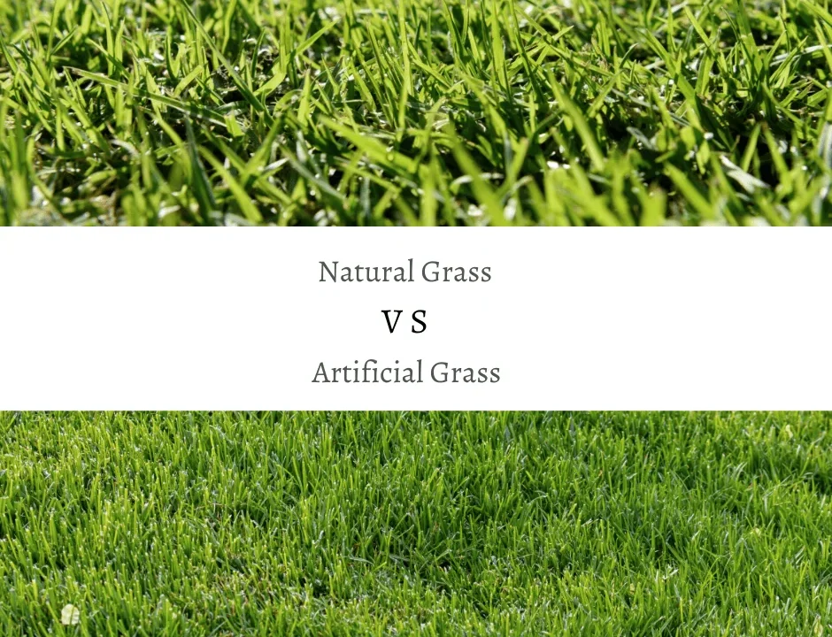 The Hidden Costs of Natural Grass Lawns in Perth’s Climate