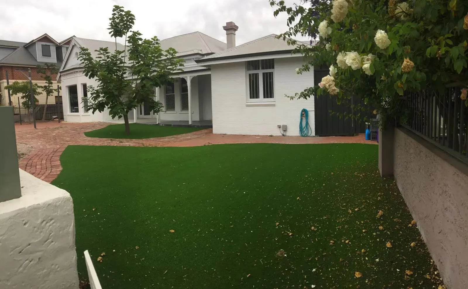 Artificial turf front lawn with brick paving and a tree at a white heritage home in Perth, installed by Jays Synthetic Grass