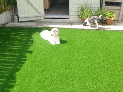 pet friendly Artificial grass